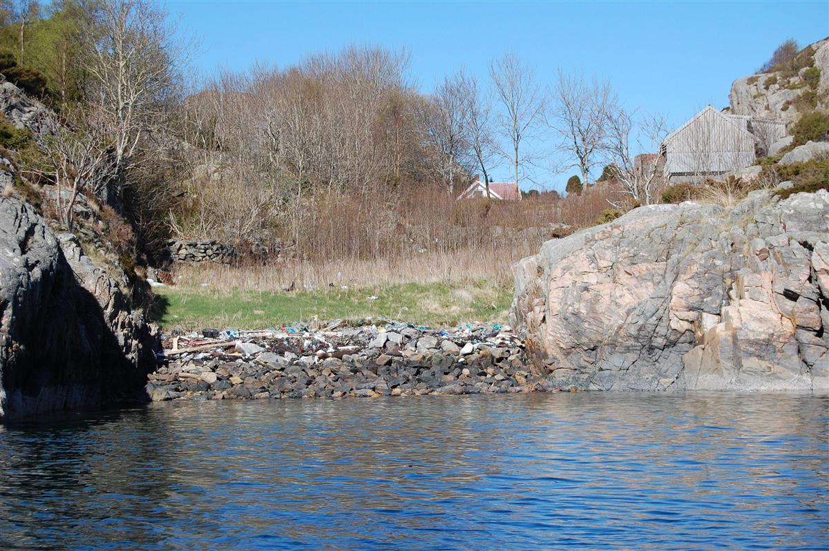 Strandrydding | Foto: Vigleik Brekke - Klikk for stort bilete