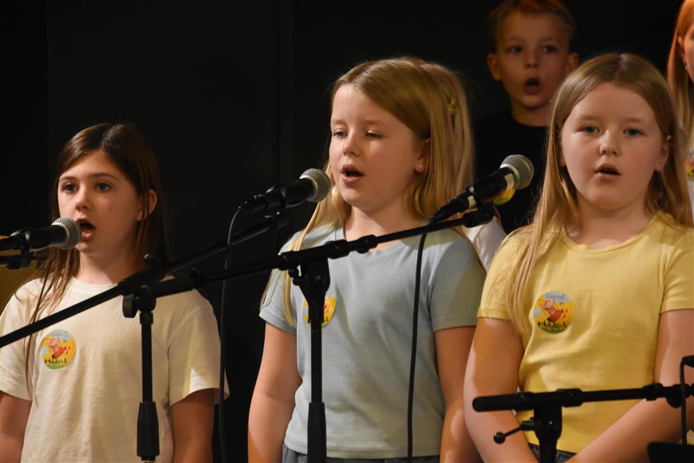 Frå konsernte - Klikk for stort bilete